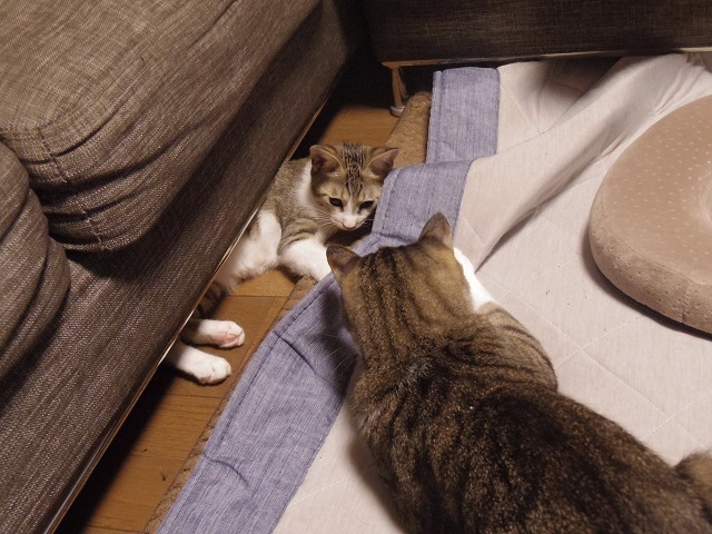 IMGP3273.jpg