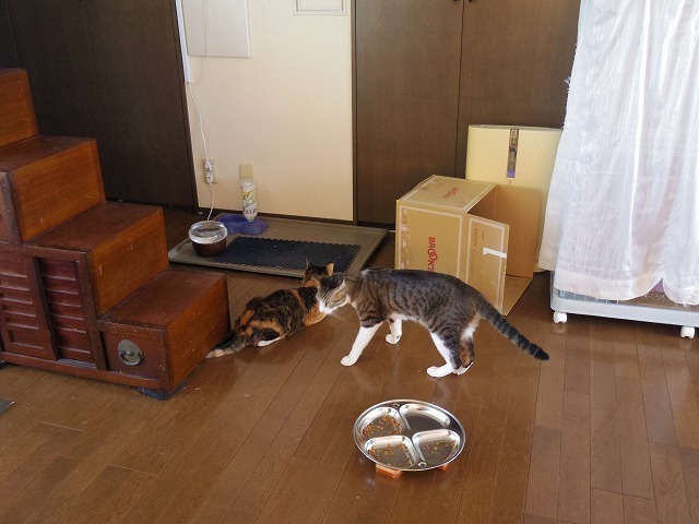 IMGP3422.jpg