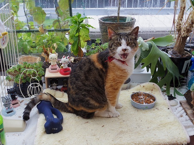 IMGP4008.jpg