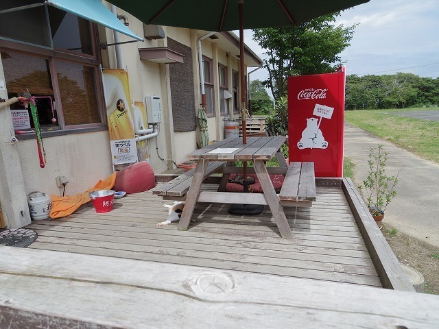 IMGP4081.jpg