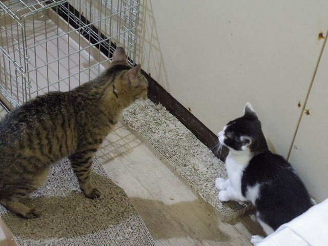 IMGP4091.jpg