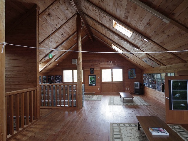 IMGP4123.jpg