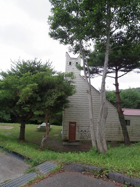 IMGP4129.jpg