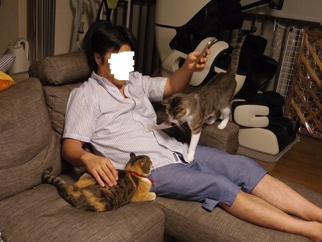 IMGP4241.jpg