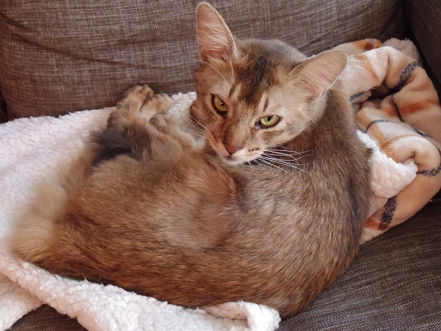 IMGP4662.jpg