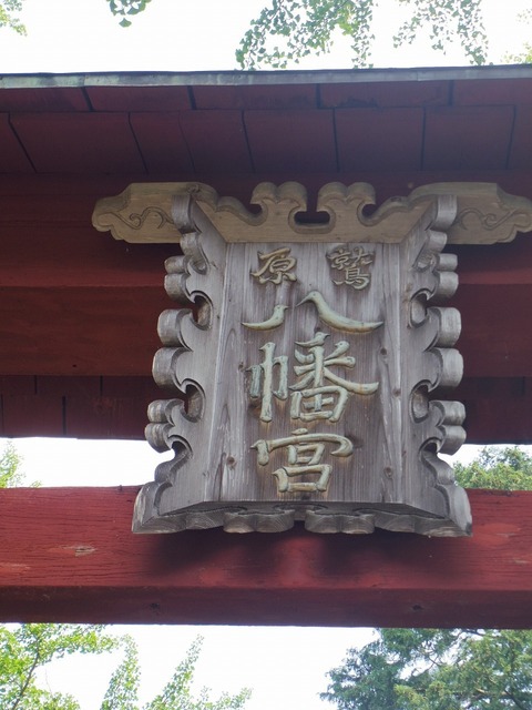 IMGP4672.jpg
