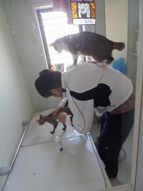 IMGP4673.jpg