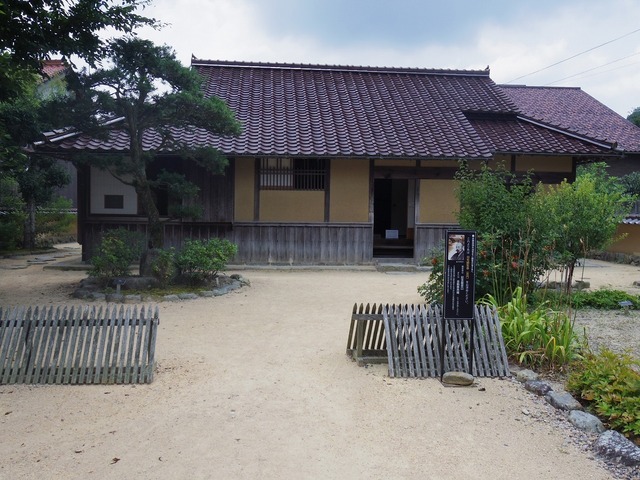 IMGP4746.jpg