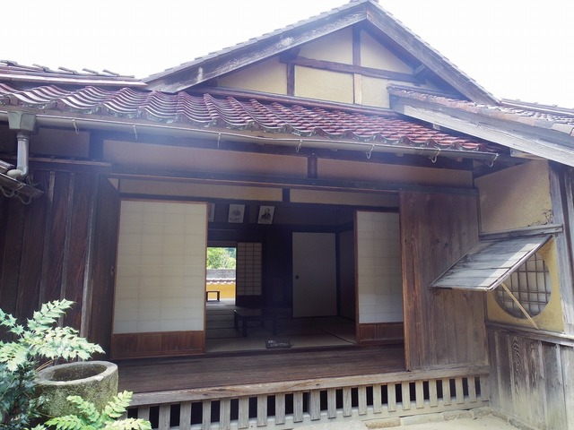 IMGP4748.jpg