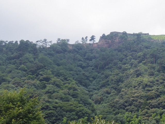 IMGP4749.jpg