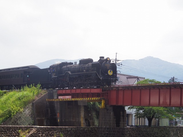 IMGP4763.jpg