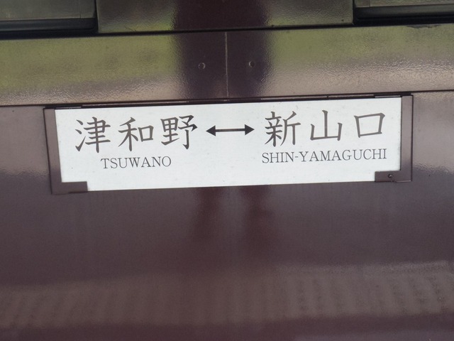 IMGP4815.jpg