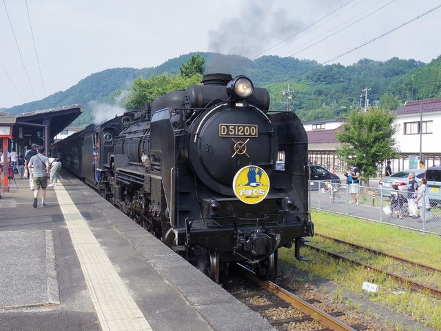 IMGP4816.jpg