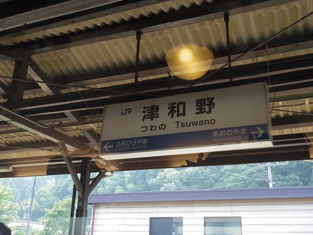 IMGP4819.jpg