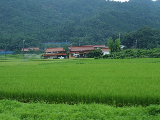IMGP4825.jpg