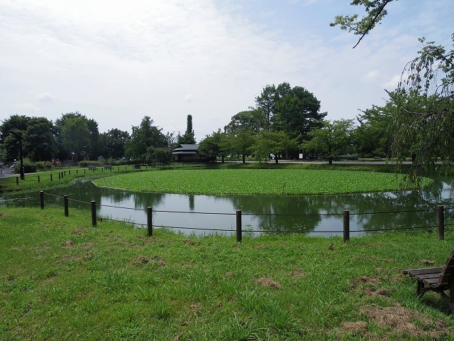 IMGP4905.jpg