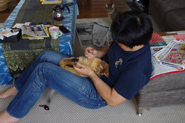 IMGP4967 (640x427).jpg