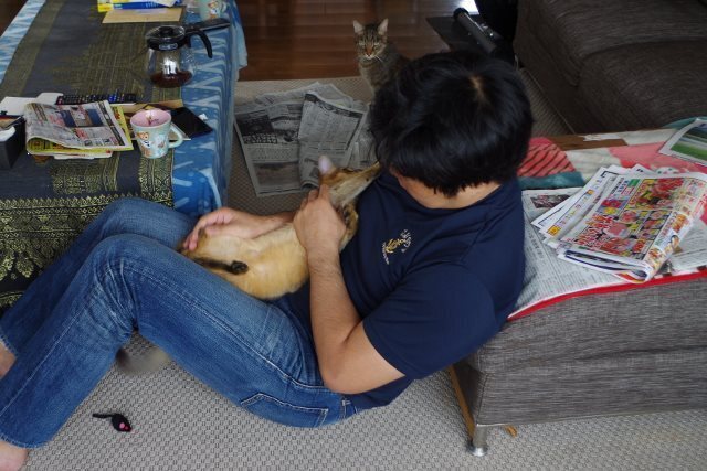 IMGP4969 (640x427).jpg