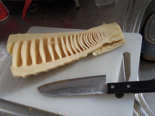 IMGP5044 (640x480).jpg