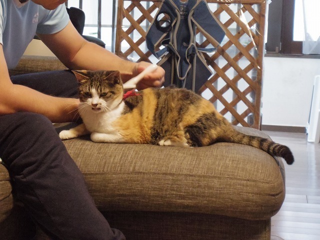 IMGP5511.jpg
