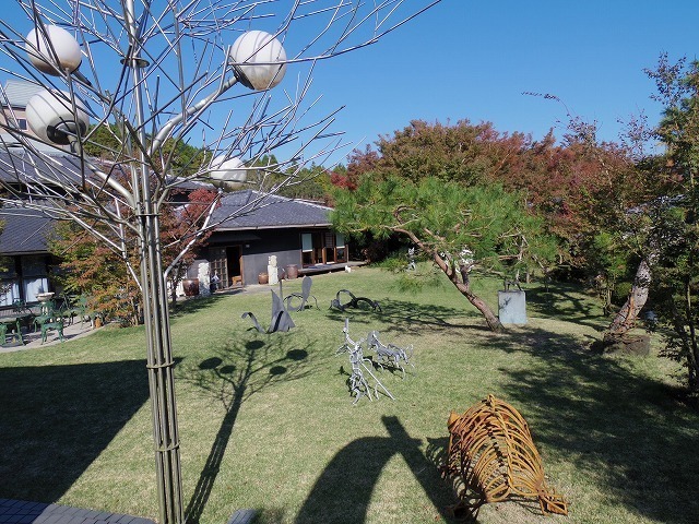 IMGP5974.jpg