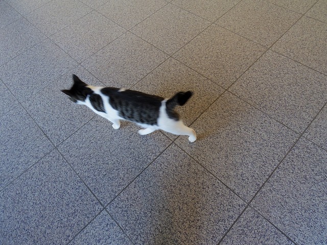 IMGP5975.jpg