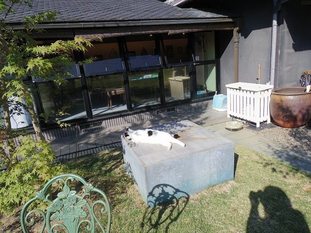IMGP5976.jpg