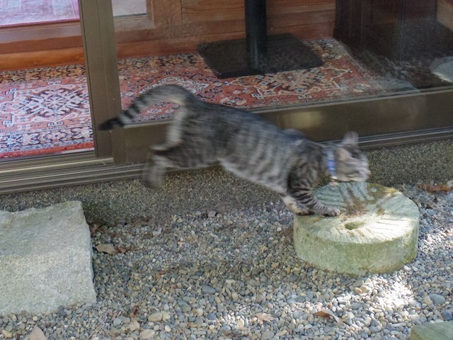IMGP6015.jpg