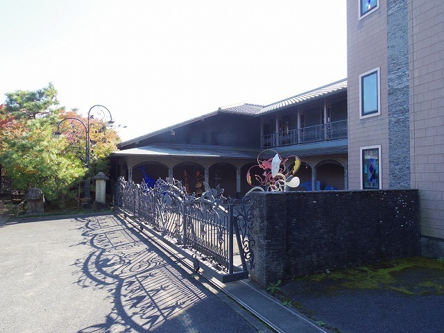 IMGP6022.jpg