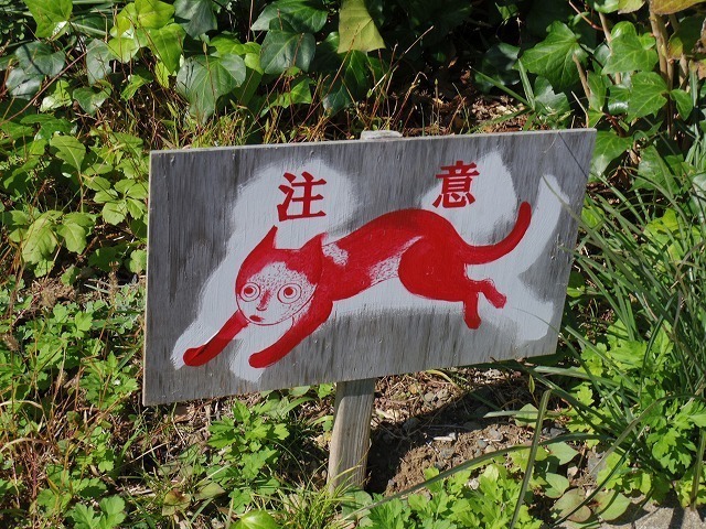 IMGP6023.jpg