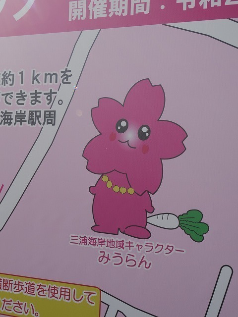 IMGP6485.jpg