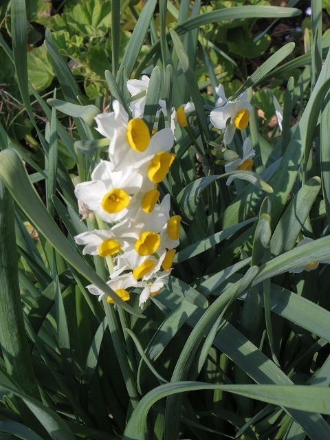 IMGP6497.jpg