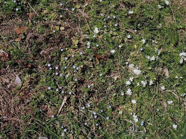 IMGP6498.jpg