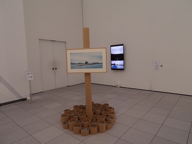 IMGP6794.jpg