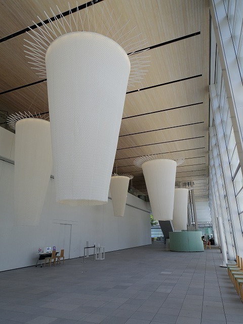 IMGP6798.jpg
