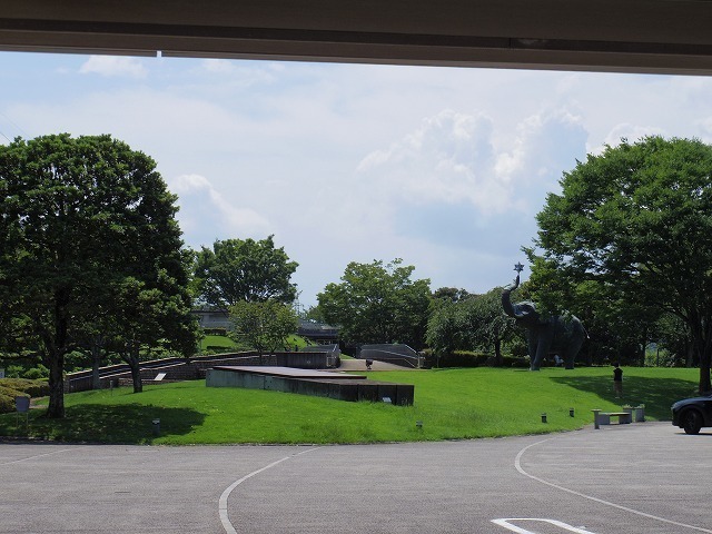 IMGP6810.jpg