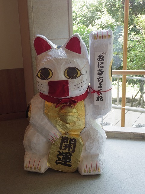 IMGP6813.jpg