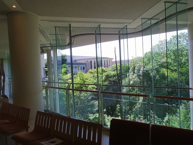 IMGP6822.jpg