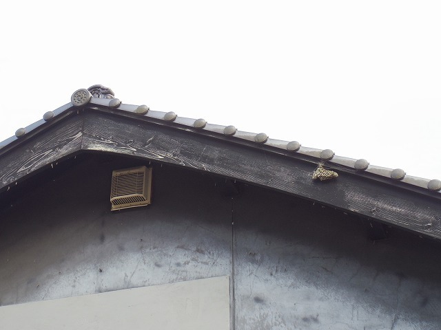 IMGP6848.jpg
