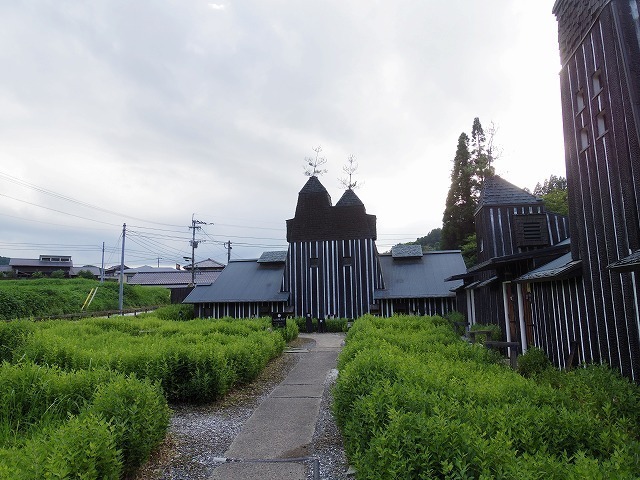 IMGP6856.jpg