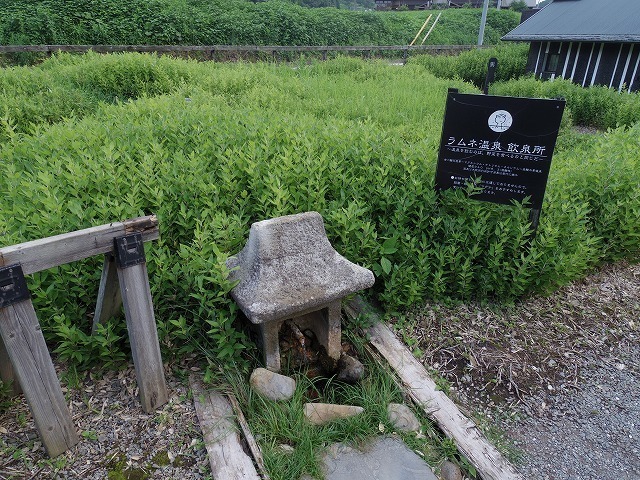 IMGP6859.jpg