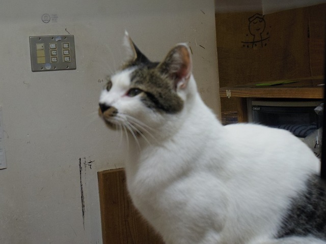IMGP6862.jpg