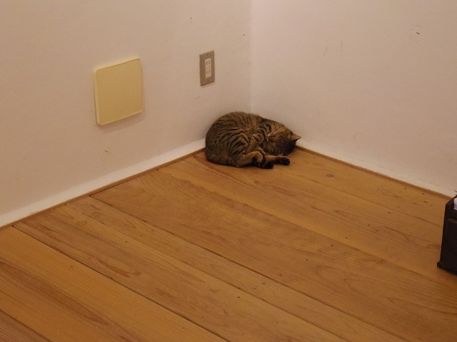 IMGP6866.jpg