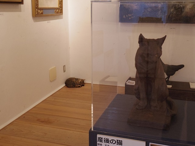 IMGP6867.jpg