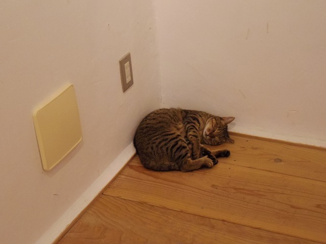 IMGP6868.jpg