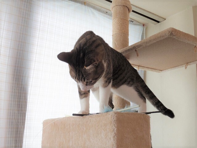 IMGP6869.jpg