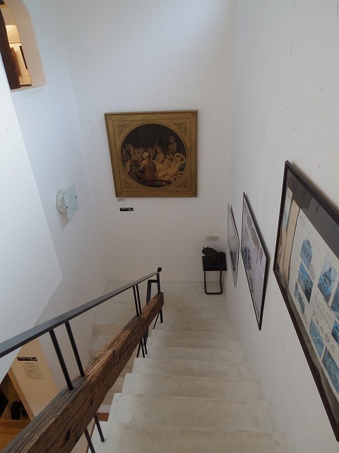 IMGP6870.jpg