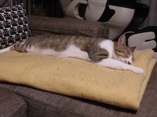 IMGP7078.jpg