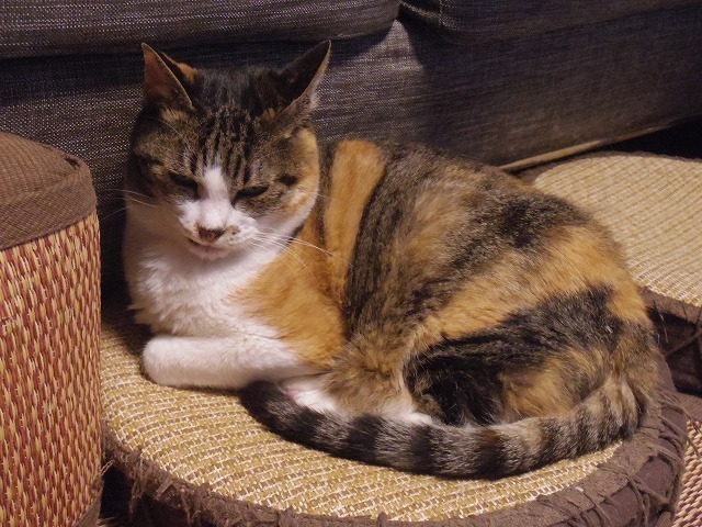 IMGP7661.jpg