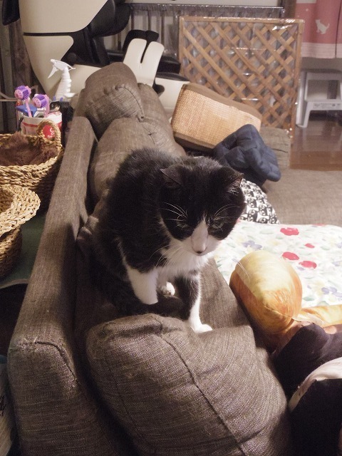 IMGP7678.jpg